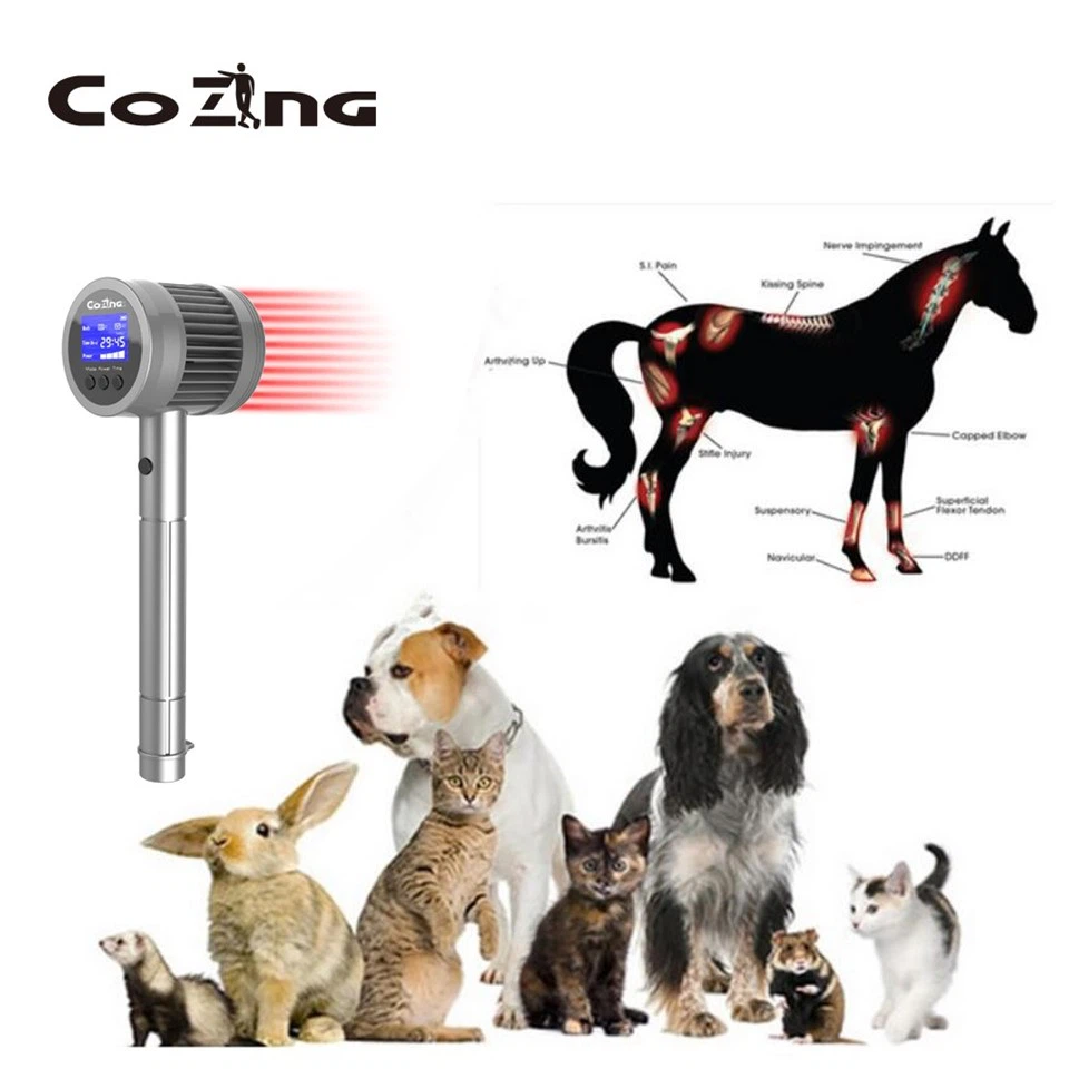 Best Cold Laser For Dogs